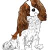 flat750x075f pad750x750f8f8f8 1 - Cavalier King Charles Spaniel Gifts