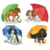 flat750x075f pad750x750f8f8f8 17 - Cavalier King Charles Spaniel Gifts