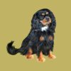 flat750x075f pad750x750f8f8f8 26 - Cavalier King Charles Spaniel Gifts