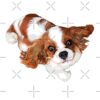 flat750x075f pad750x750f8f8f8 30 - Cavalier King Charles Spaniel Gifts