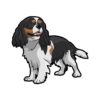 flat750x075f pad750x750f8f8f8 36 - Cavalier King Charles Spaniel Gifts