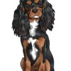 flat750x075f pad750x750f8f8f8 7 - Cavalier King Charles Spaniel Gifts