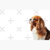 flat750x075f pad750x750f8f8f8.u4 11 - Cavalier King Charles Spaniel Gifts