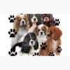 flat750x075f pad750x750f8f8f8.u4 5 - Cavalier King Charles Spaniel Gifts