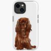 icriphone 14 toughbackax1000 pad1000x1000f8f8f8.u21 7 - Cavalier King Charles Spaniel Gifts