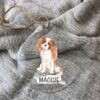 il 1000xN.2080311515 8py0 - Cavalier King Charles Spaniel Gifts