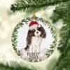 il 1000xN.2102536180 it6b - Cavalier King Charles Spaniel Gifts