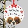 il 1000xN.2346025938 pgra - Cavalier King Charles Spaniel Gifts