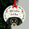 il 1000xN.2346028398 mz1d - Cavalier King Charles Spaniel Gifts