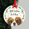 il 1000xN.2442853408 1nt2 - Cavalier King Charles Spaniel Gifts