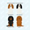 il 1000xN.2956035050 foj3 - Cavalier King Charles Spaniel Gifts