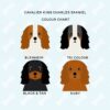 il 1000xN.2956186594 ezbc - Cavalier King Charles Spaniel Gifts