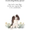 il 1000xN.4799454490 qilu - Cavalier King Charles Spaniel Gifts