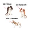 il 1000xN.4799466256 p899 - Cavalier King Charles Spaniel Gifts