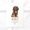 il 1000xN.5209168080 3c36 - Cavalier King Charles Spaniel Gifts