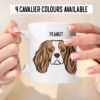 il 1000xN.5227380637 edzn - Cavalier King Charles Spaniel Gifts