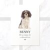 il 1000xN.5257384937 ls9x - Cavalier King Charles Spaniel Gifts