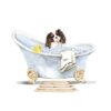 il 1000xN.5593460207 1egm - Cavalier King Charles Spaniel Gifts