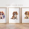 il 1000xN.5642168112 e0zl - Cavalier King Charles Spaniel Gifts