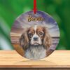 il 1000xN.5714946912 k8uw - Cavalier King Charles Spaniel Gifts