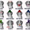 il 1000xN.5727904486 6l39 - Cavalier King Charles Spaniel Gifts