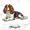 il 1000xN.5735036811 ceyb - Cavalier King Charles Spaniel Gifts