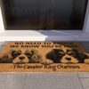 il 1000xN.5824601118 qh5g - Cavalier King Charles Spaniel Gifts