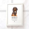 items 1 3 - Cavalier King Charles Spaniel Gifts