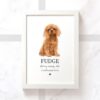 items 2 2 - Cavalier King Charles Spaniel Gifts