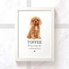 items 3 2 - Cavalier King Charles Spaniel Gifts