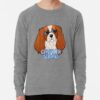 ssrcolightweight sweatshirtmensheather grey lightweight raglan sweatshirtfrontsquare productx1000 bgf8f8f8 2 - Cavalier King Charles Spaniel Gifts