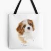 tb1040x1040large c1198800800 bgf8f8f8.u8 21 - Cavalier King Charles Spaniel Gifts