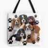 tb1040x1040large c1198800800 bgf8f8f8.u8 28 - Cavalier King Charles Spaniel Gifts