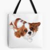 tb1040x1040large c1198800800 bgf8f8f8.u8 30 - Cavalier King Charles Spaniel Gifts