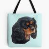 tb1040x1040large c1198800800 bgf8f8f8.u8 35 - Cavalier King Charles Spaniel Gifts