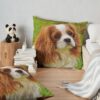 throwpillowsecondary 36x361000x1000 bgf8f8f8 25 - Cavalier King Charles Spaniel Gifts