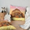 throwpillowsecondary 36x361000x1000 bgf8f8f8 6 - Cavalier King Charles Spaniel Gifts