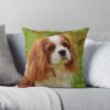 throwpillowsmall1000x bgf8f8f8 c020010001000 25 - Cavalier King Charles Spaniel Gifts