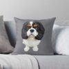 throwpillowsmall1000x bgf8f8f8 c020010001000 4 - Cavalier King Charles Spaniel Gifts