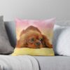 throwpillowsmall1000x bgf8f8f8 c020010001000 6 - Cavalier King Charles Spaniel Gifts