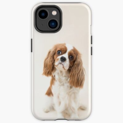 Cavalier King Charles Spaniel Blenheim Iphone Case