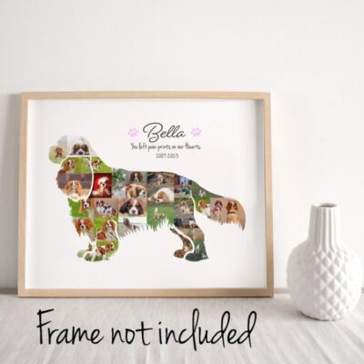 Cavalier King Charles Spaniel Photo Wall Art