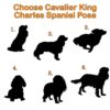 il 1000xN.6112673458 eawx - Cavalier King Charles Spaniel Gifts